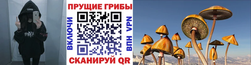 сколько стоит  Городище  Галлюциногенные грибы Cubensis 